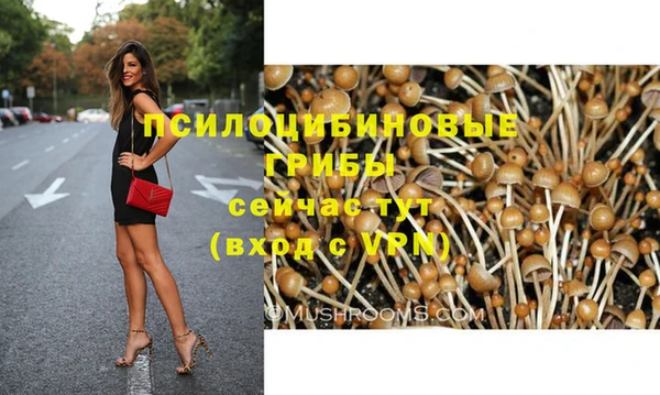 ГАЛЛЮЦИНОГЕННЫЕ ГРИБЫ Кинешма