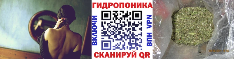 Купить Кудрово Шишки марихуана OG Kush